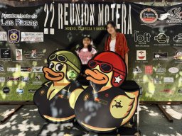 Photocall